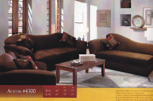 Austin Sofa and Loveseat